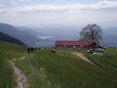 Chalet Chappuis