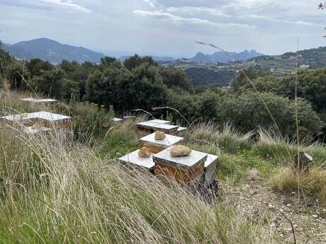 Pique-nique campagnard au Rucher des Dent'ailes