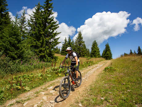 VTT Cross country - La Compagnie du Lac