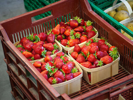 Marché à la ferme «Les Javonnes»