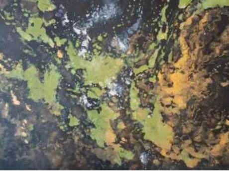 Les expos de l'ANCRE : Aline MESSIEZ PETIT