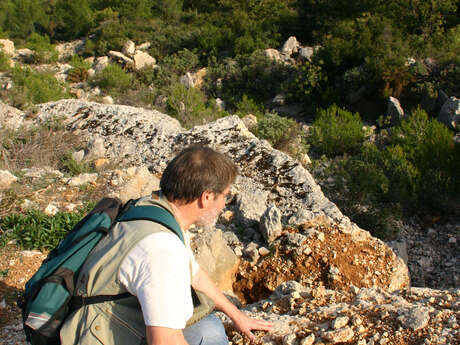 Découverte géologique dans les collines de Marcel Pagnol - Journée