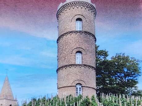 Histoire de la vigne des Minimes de Montmerle-sur-Saône