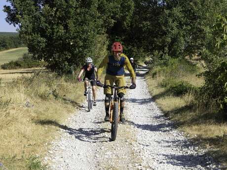 VTT n°8 - Promenade du Bois du Défend