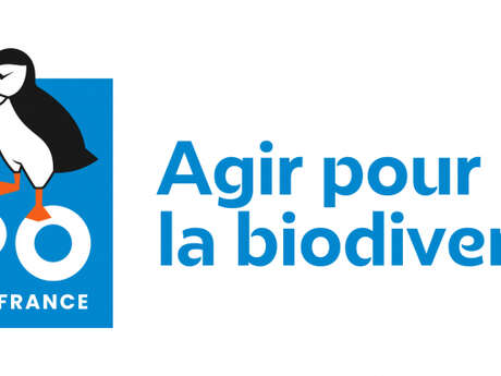 Les Rendez-Vous Nature - Les chauve-souris, des animaux incompris