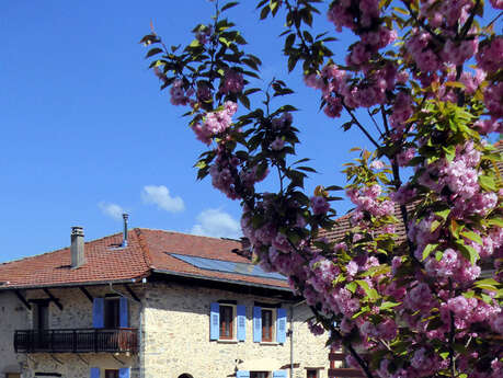 Gîte rural ADAL BERHT