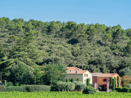Domaine Saint Mitre