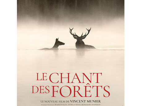 La Tournée du Cigalon  à La Bastide des Jourdans : LE CHANT DES FORÊTS