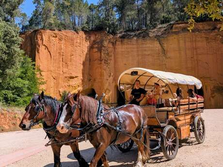 Balade en calèche avec Provence Hipposervices