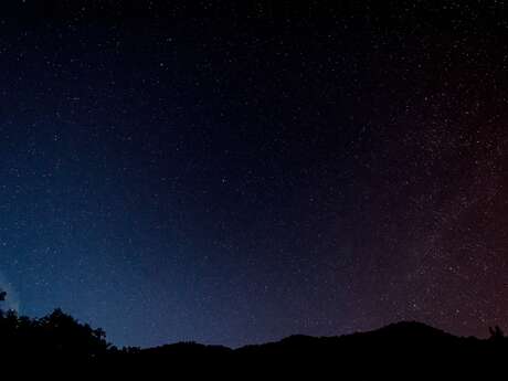 Un Été avec le Parc : La nuit révélée