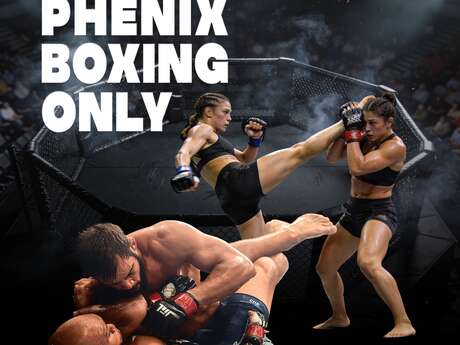 Gala Kick Boxing et MMA : PHENIX BOXING ONLY N°13