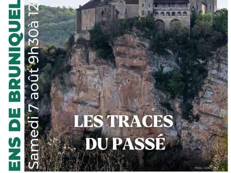 Sortie nature: Un voyage dans le temps