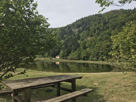 Aire de pique-nique à l'étang de Moulzoune