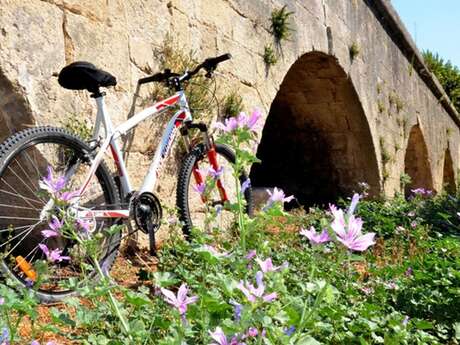 ARLES - Autour du canal de Craponne à vélo