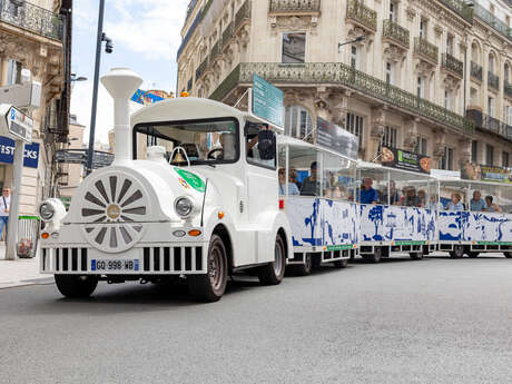 The Tourist train