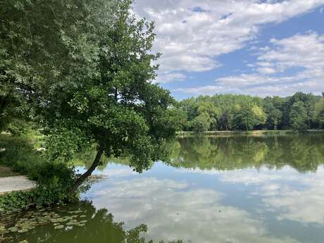 Etang d'Anneyron -base de l'Argentelle