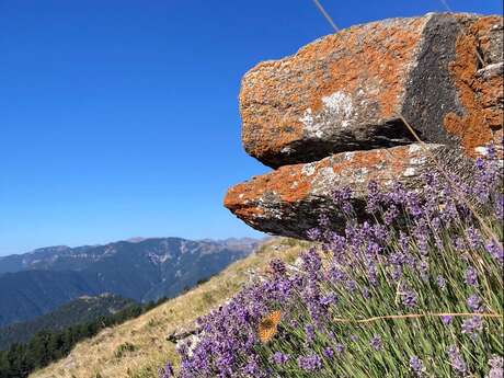Balade découverte de la Ferme de Castel Tournou