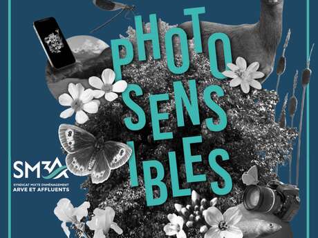 Exposition "Photosensibles"