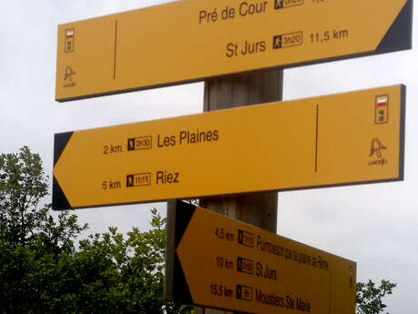 Balade à pied : Si l’on contait les moutons ? (sur inscription)