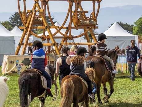 Folie(s) Végétales 2026