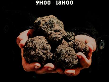 29ème Marché de la Truffe