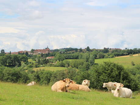 Sentier Le Puy Bayard