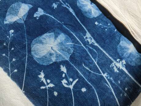 Atelier adulte Cyanotype sur tissu