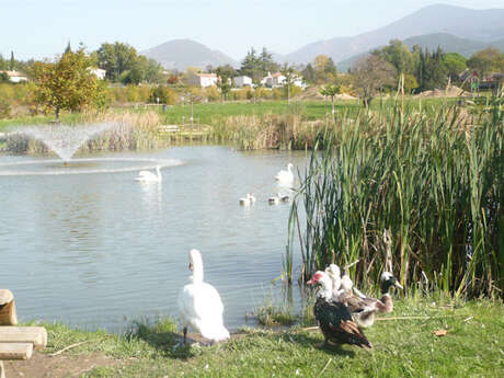 Lac des Palivettes et son parcours sportif