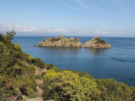 Port-Cros - Sentier des plantes