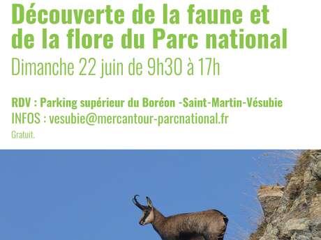 Découverte de la faune et de la flore du Parc national