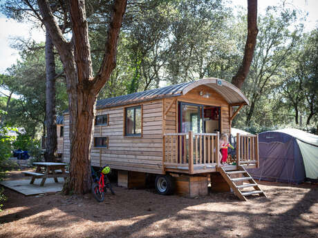 Spend a night in a caravan for 4 people in the heart of the forest