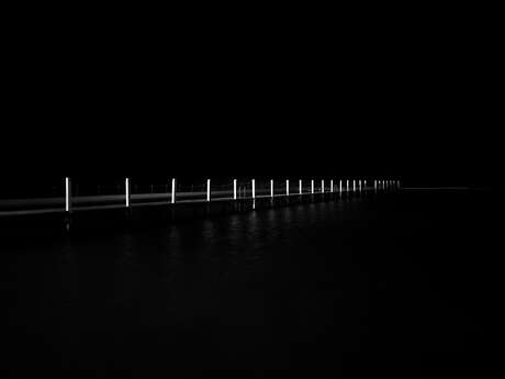 Exposition : "Les lignes du temps"