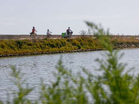 Chemin gourmand de la presqu'île à vélo