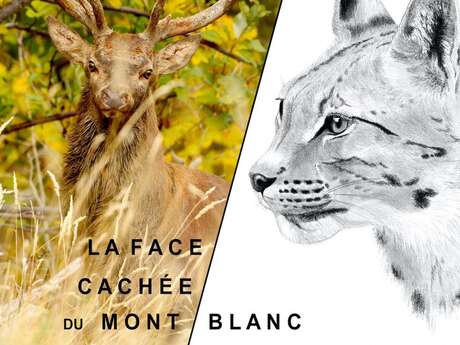 Exposition - La face cachée du Mont-Blanc