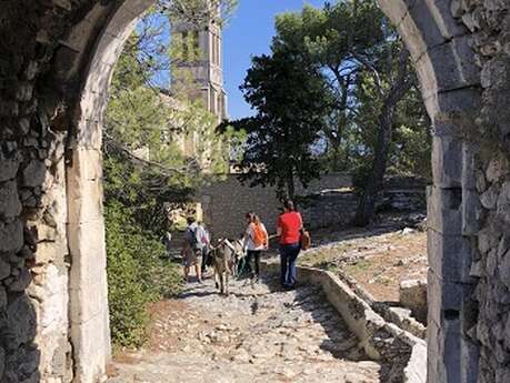 Balade en compagnie des P'tits ânes : Le sentier de la pierre