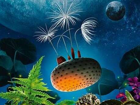 Cinéma : Planètes