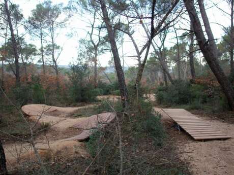 Bike Park