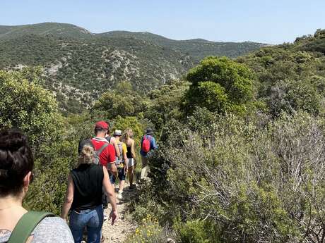 LAURIS - Portalas et biodiversité en chemin