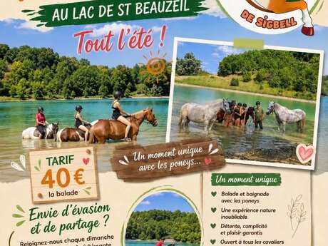 Balade - baignade à cheval à St Beauzeil