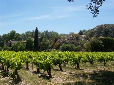 De la Venise Provençale aux vignobles de Châteauneuf du Pape