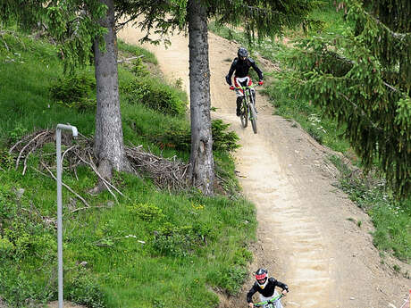 L'Arpette (DH)