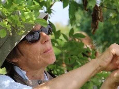 Visite : De la fleur à la graine