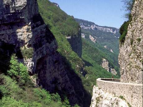 Les gorges de la Bourne