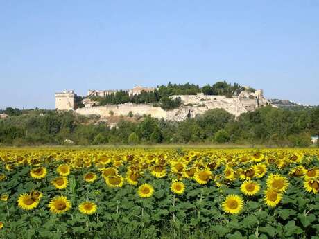 Boucle cyclo-découverte La rive droite du Rhône