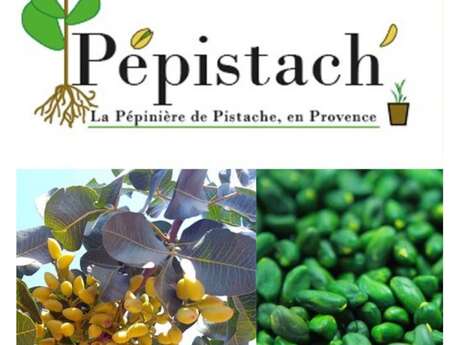Visite de Pepistach' | Indus'3 Days