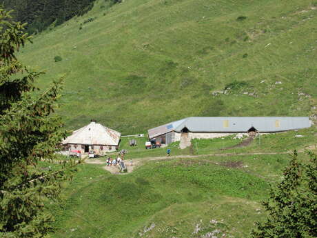 L'Alpage d'Oche