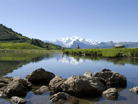 Parcours trail 15 bleu  : Nyon Joux Plane