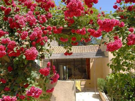 Terrasse Sud