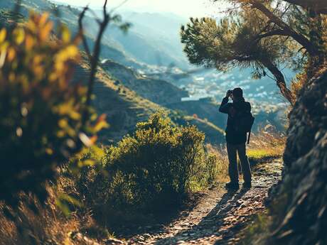 Marche Huntington 2025