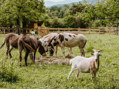 SOS Animaux de la ferme pédagogique